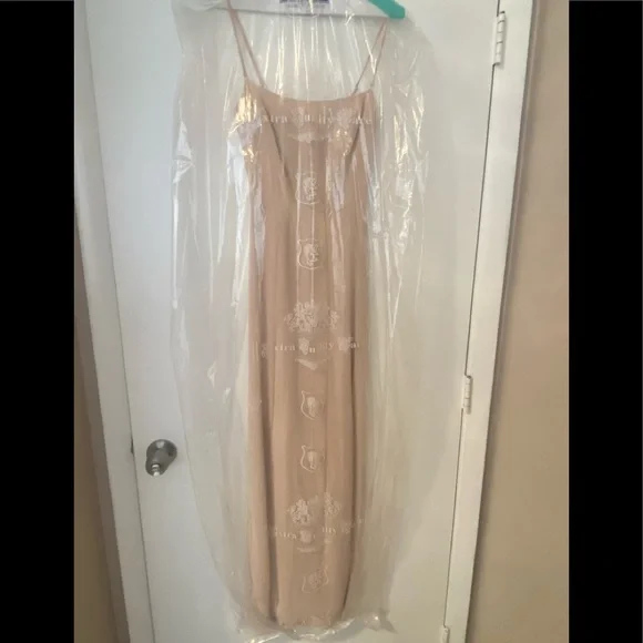 Reformation Ingrid Dress in Champagne - size 2. Perfect condition. - Picture 2 of 5